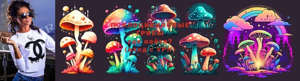 скорость Арсеньев