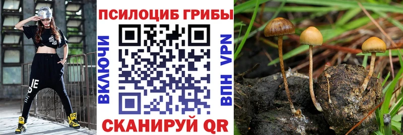 kraken рабочий сайт  Горняк  Псилоцибиновые грибы ЛСД  продажа наркотиков 